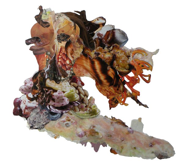 Continual Sneeze | Found collage and acrylic on paper | 61 x 57 cm | 2009