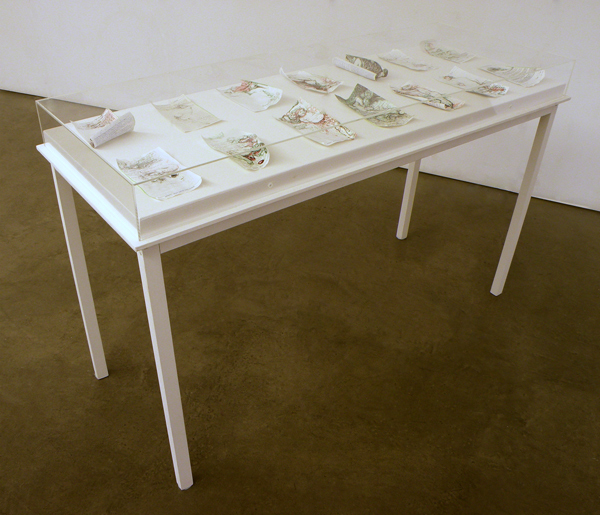 Repeat Perscriptions, 2013, 14 drawings on wood and perspex table, 134cm long x 51cm wide x 82 cm high